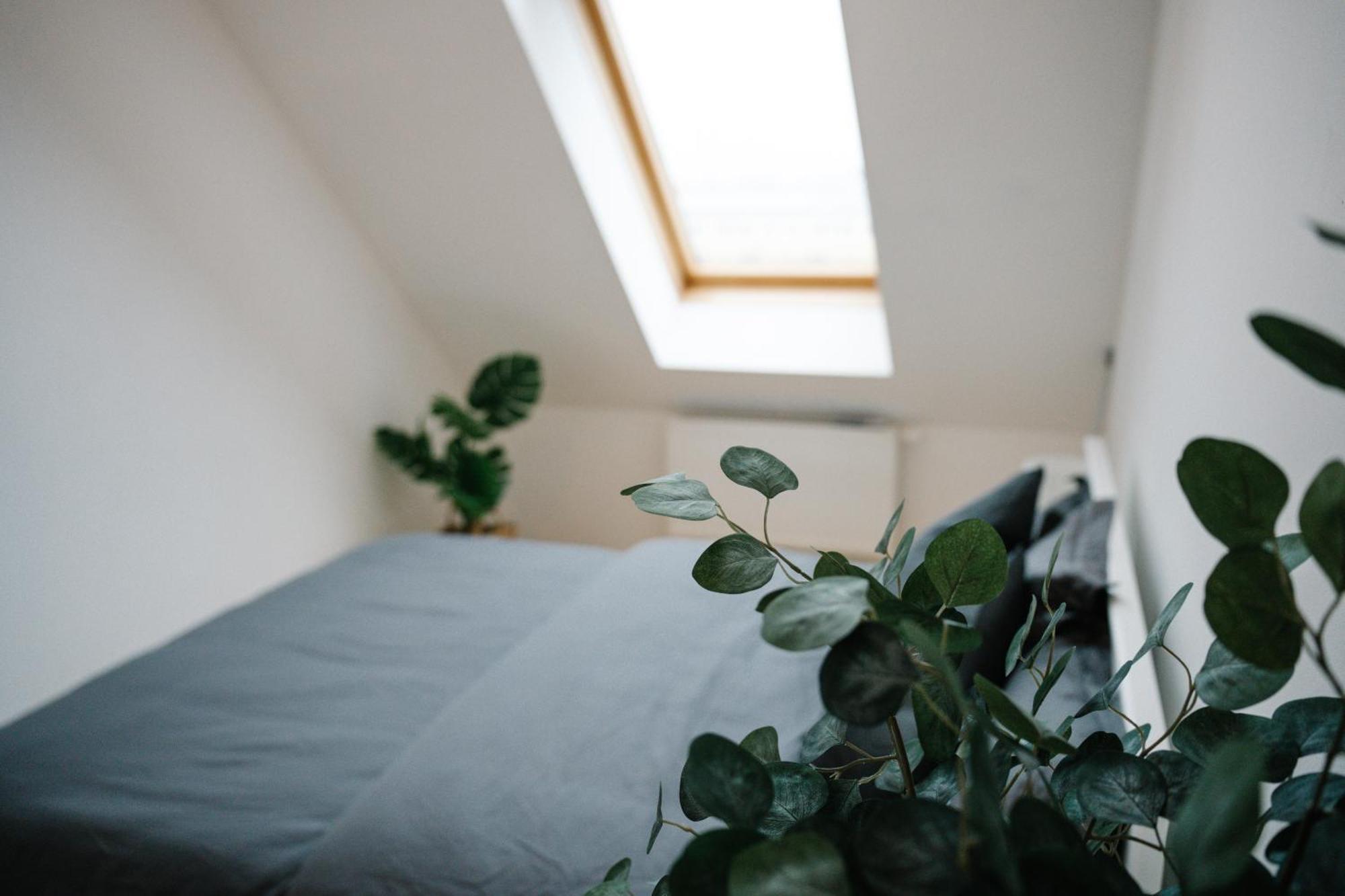 110Qm, 4 Bedrooms, Near Schoenbrunn - Axara Housing Osw 33 Wien Eksteriør bilde